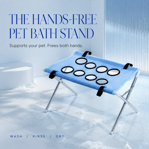 SteadyPaws