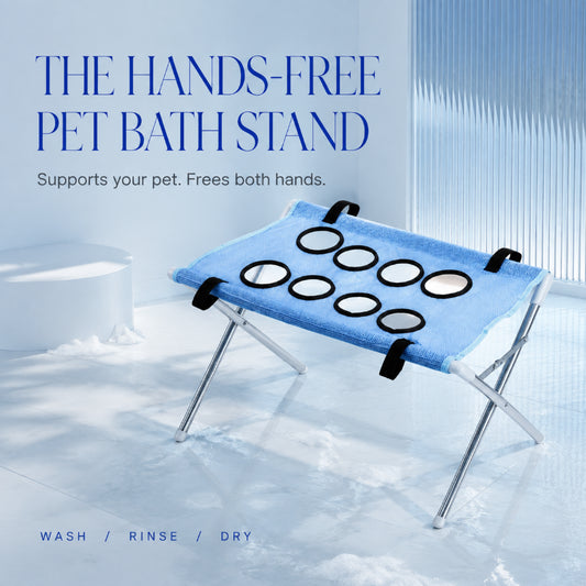 SteadyPaws