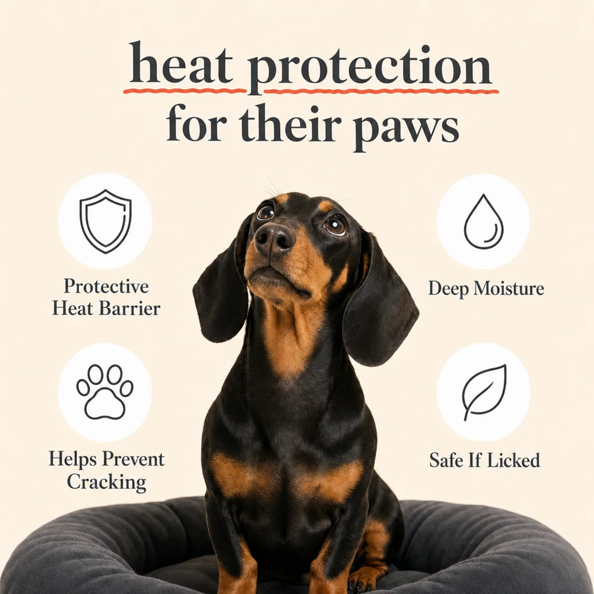 Pawtection by BioPaws