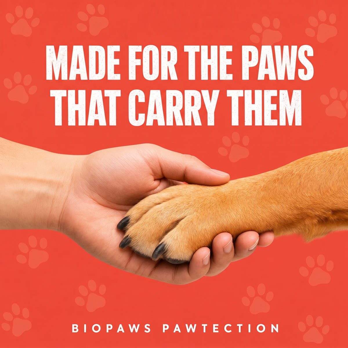 Pawtection by BioPaws