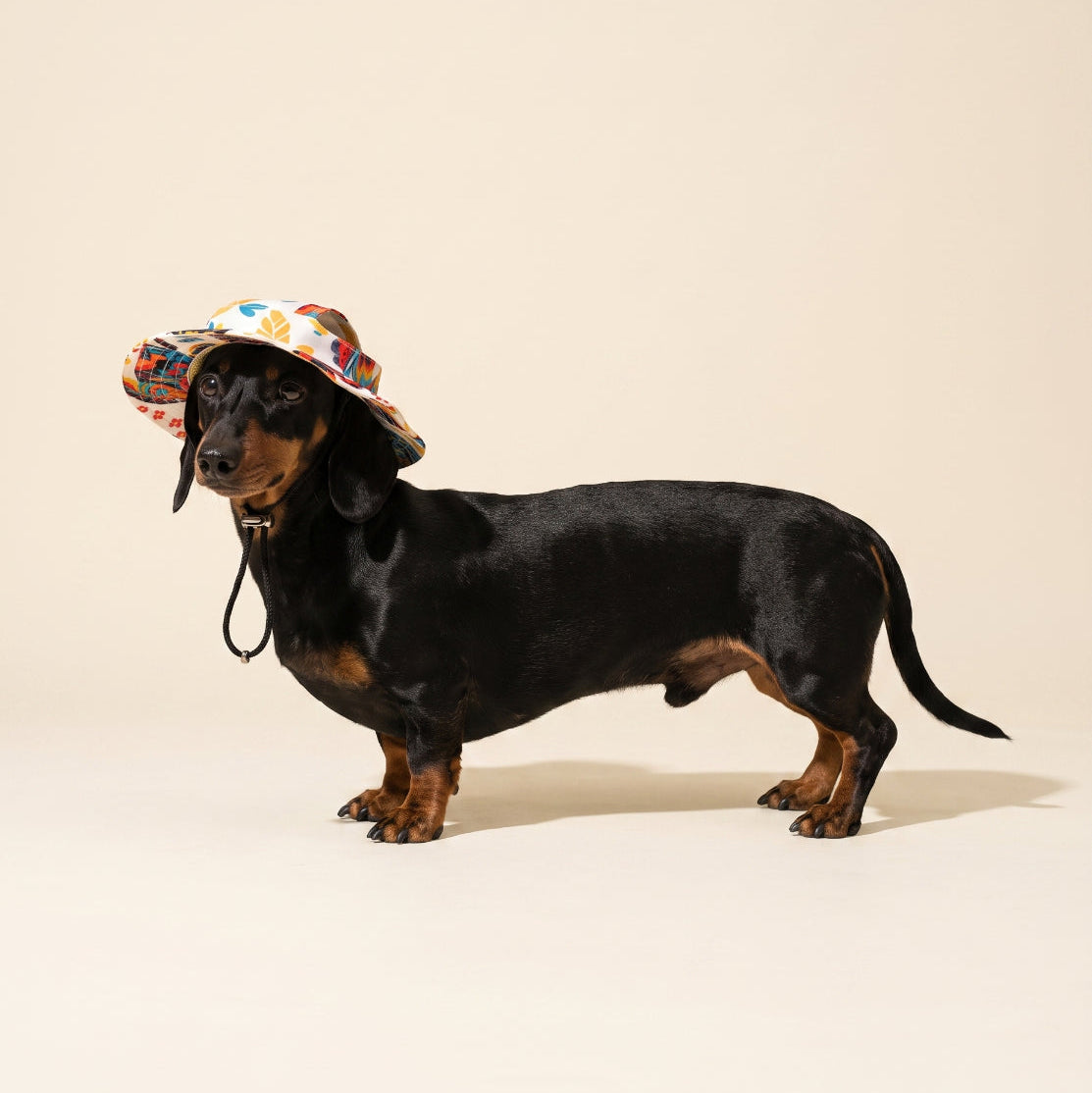 Sunday | Dog Bucket Hat