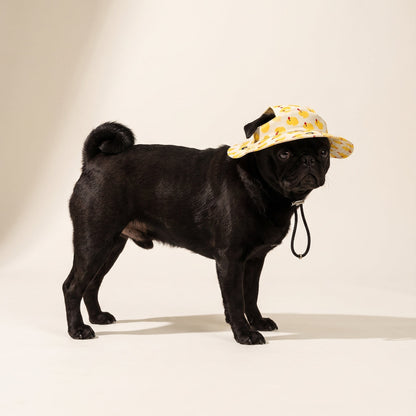 Sunday | Dog Bucket Hat