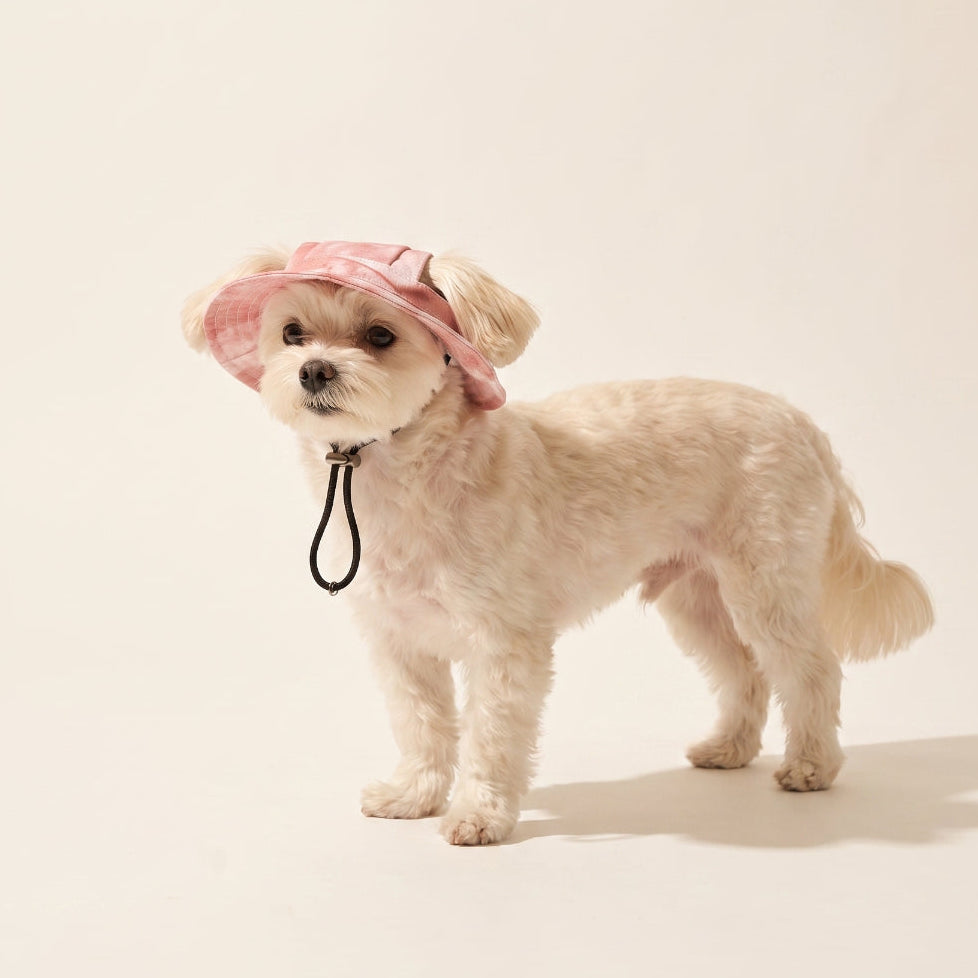 Sunday | Dog Bucket Hat