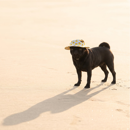 Sunday | Dog Bucket Hat