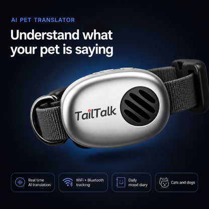 TailTalk