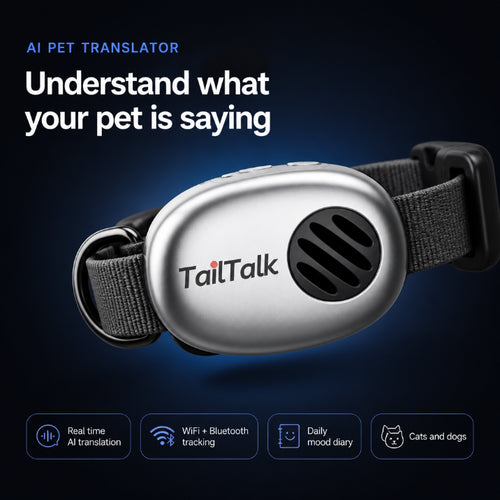 TailTalk