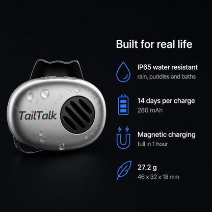 TailTalk