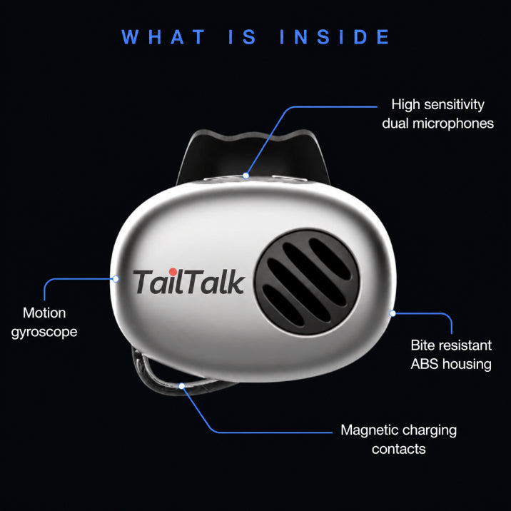 TailTalk