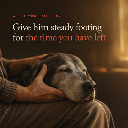 TrueStep