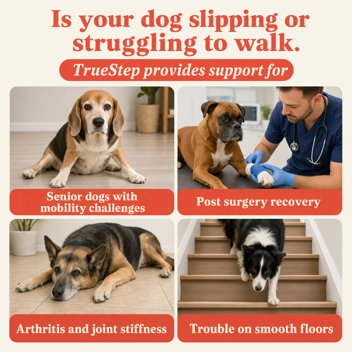 TrueStep