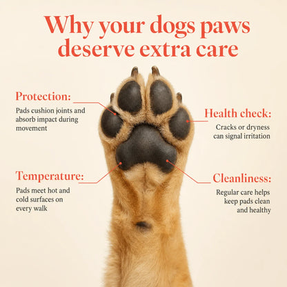 Pawtection by BioPaws